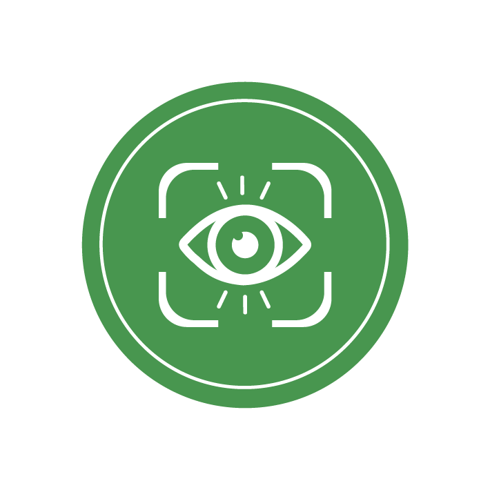 vision